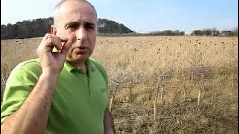 Binoculars what the numbers mean