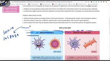 11.1 Self v Non Self