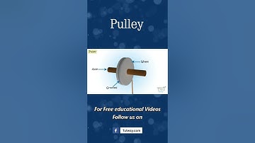 Pulley | Types of Pulley | Fixed, Movable, Compound Pulley & Single Pulley | Science #shorts
