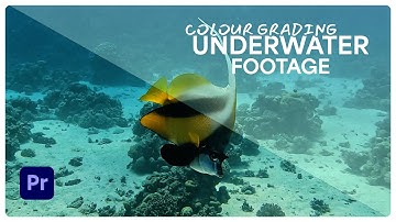 How I Colour Grade my Underwater Footage | Behind the Scenes – Egypt Vlog | @TheJackBC