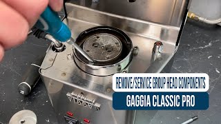 Gaggia Classic: How to Remove & Service Shower Screen and Group Head Components