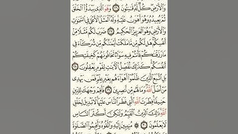 30سورة الروم للشيخ أبو معاذ أحمد مصطفى حفنى محمد الصياد