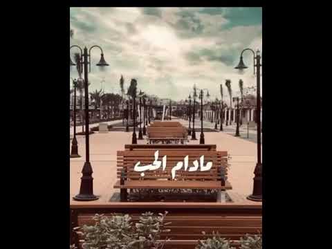 مدام الحب مش نافع وايه الدافع