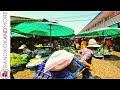 ´BANGKOK │ How A Wet Market In Asia Looks Like 2021