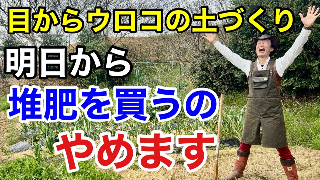 【ズボラさん必見】 放っておくだけで良い土は勝手にできます　        【カーメン君】【園芸】【ガーデニング】【初心者】
