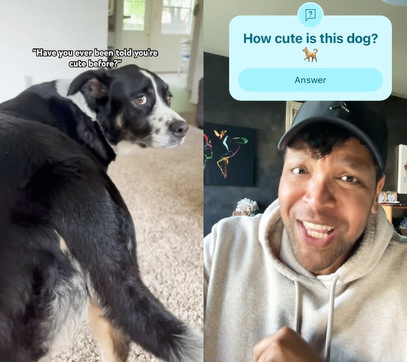 HOW CUTE CUTE CUTE 🥰 #shorts #dog #dogshorts #dogvideos #fyp #ytfyp