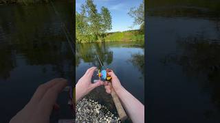 Budget DC baitcaster setup for trout fishing ! #fishing #ulfishing #bfs #fishingvideo