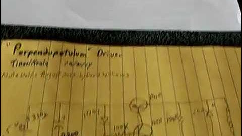 Perpendupetulum Pulse Motor