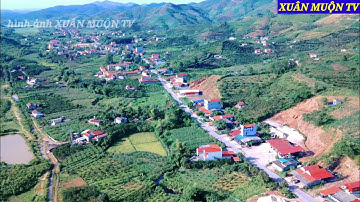 hình ảnh tuyệt đẹp từ trên cao quê hương phong vân lục Ngạn Bắc Giang