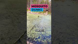 Mosquito Dunks ?