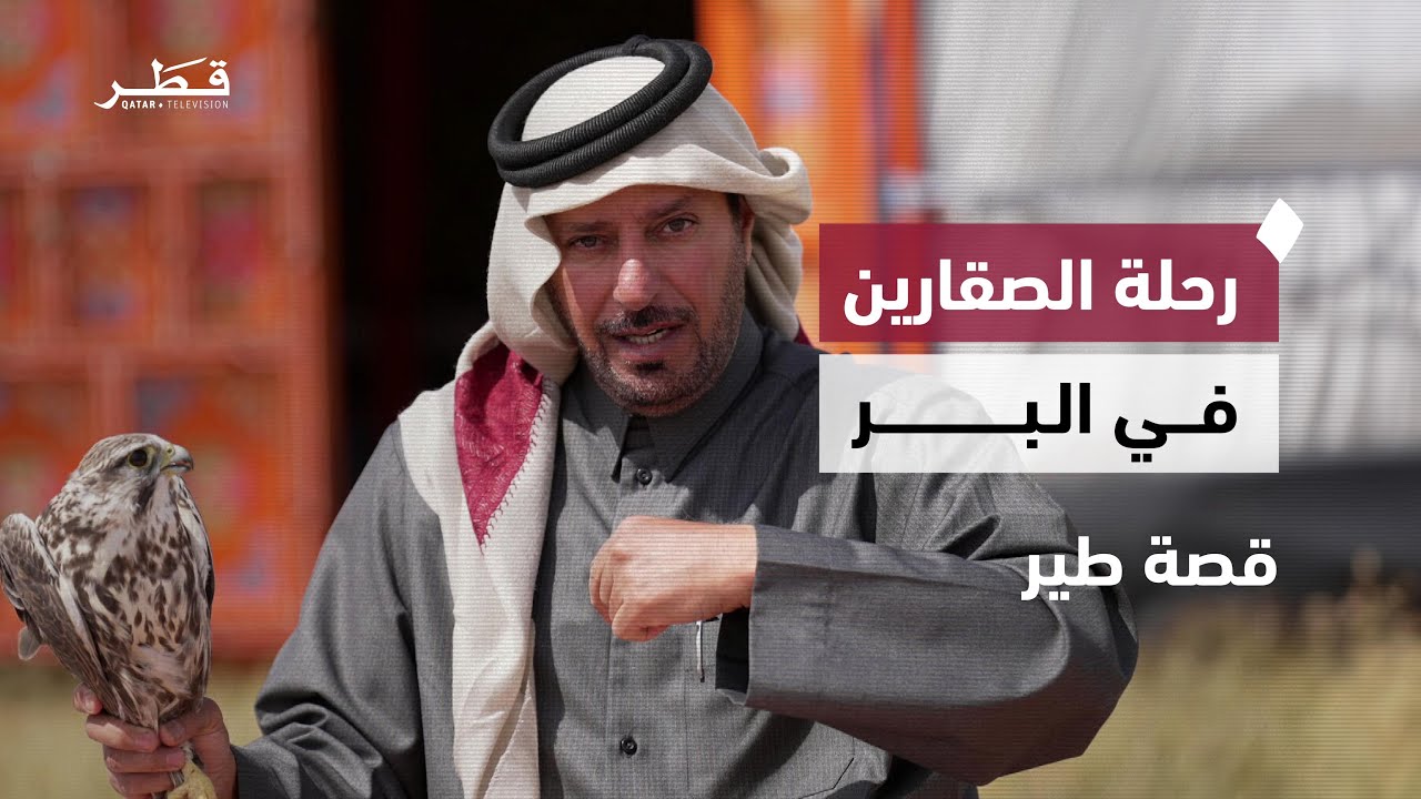 رحلة الصقارين في منغوليا.. طرح أربعة طيور وكشف أسرار الفرخ والقرناس | قصة طير