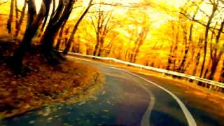 JJ CALE - BRINGING IT BACK