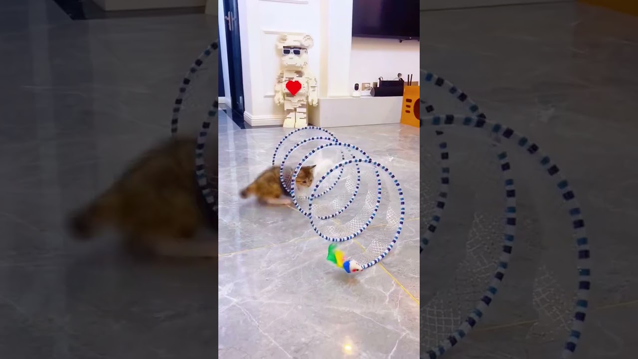 #BlackFriday #ForYouDays #spotlight #foryou #fyp #viral