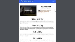 WordPress Export Posts as PDF Plugin (Print / Word)