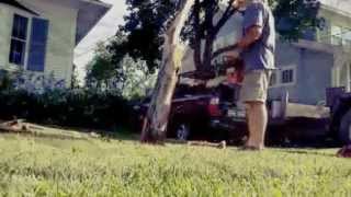 Nutty Squirrel Carving - episode 21
