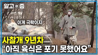 스님과 함께하는 그것이 바로 극락, 사찰개 9년차 보리와 반야의 하루│세상에 나쁜 개는 없다│알고e즘