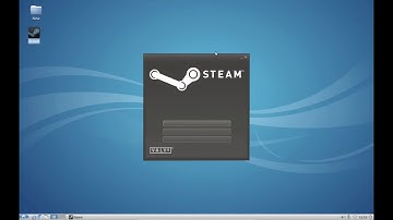 Steam under Wine: No text fix