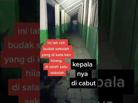 Video: Siapa yang memiliki angker tampa?