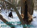 Охота с лайкой на куницу. На закрытии охотничьего сезона...