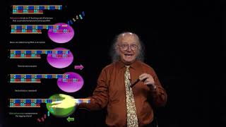 25 Telomers and Telomerase