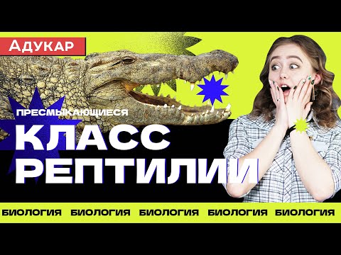 Класс Пресмыкающиеся или Рептилии | Зоология, Биология ЕГЭ, ЦТ