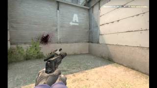 INSANE 180 USP FLICK!!!