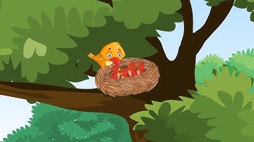 Trees are the Kindest Things I Know - English Story I Bedtime Story I Kids Stories I Animated Story