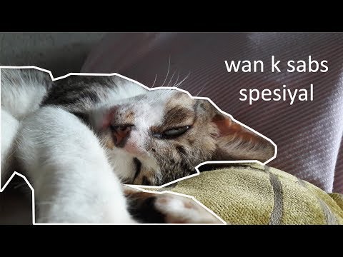 Short Video // 1,000 Subscribers Special