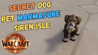 Secret Dog Pet Marmaduke on Siren Isle