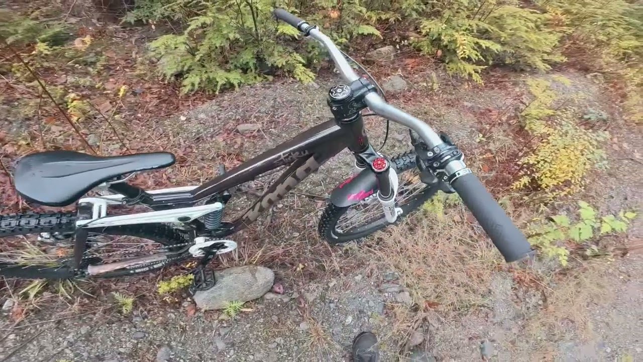 Kona Stinky project update