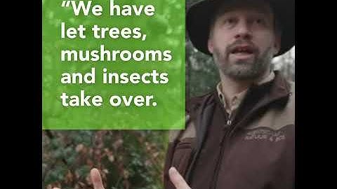 #ForestBiodiversity (Teaser 2): Enhancing biodiversity in the Sustainable Forest Management cycle