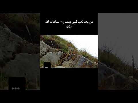 ابتسم فلا محبتهم تبني لك قصرا ولا كرههم يحفر لك قبرا