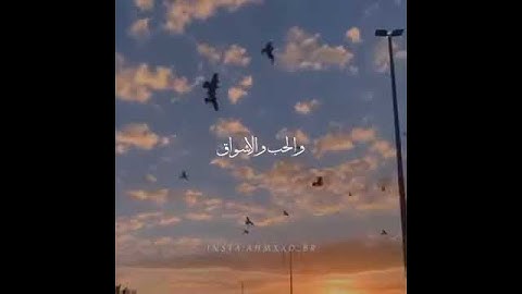 Thumbnail of انا قلبي مشتاق