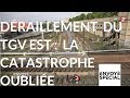 Envoy spcial draillement du tgv est  la catastrophe oublie  9 nov 2017 france 2