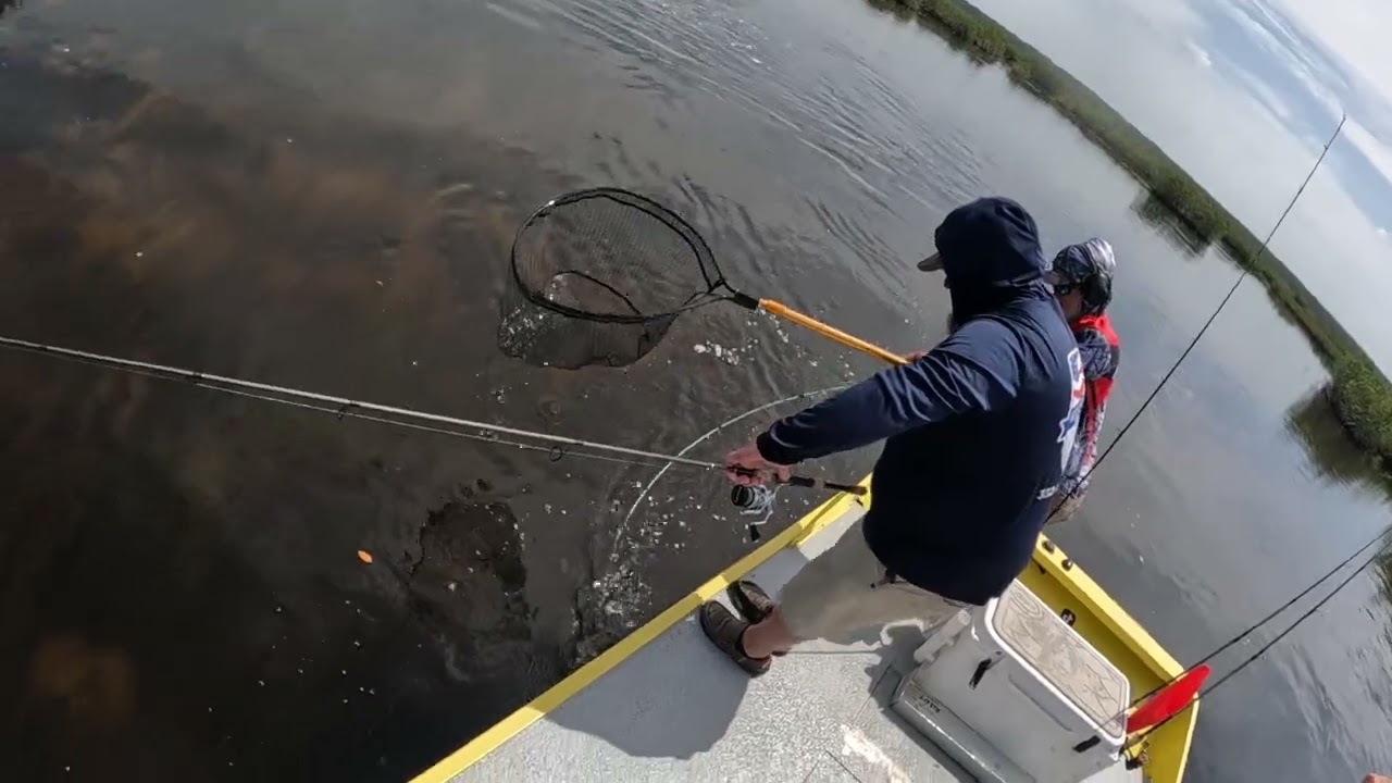 Snook fishing was on fire! Weeki Wachee Florida