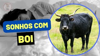 Sonhar com Boi: Veja o Significado Sonhar com Boi e Sonhar com Boiada