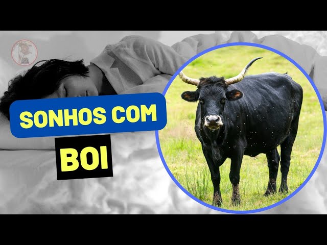 Sonhar com Boi: Veja o Significado Sonhar com Boi e Sonhar com Boiada