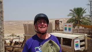 230816b Bedouin Kfar Hanokdim Israel