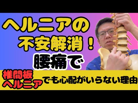 腰の痛みはヘルニアが原因？腰椎椎間板ヘルニアと症状について｜今治市　星野鍼灸接骨院