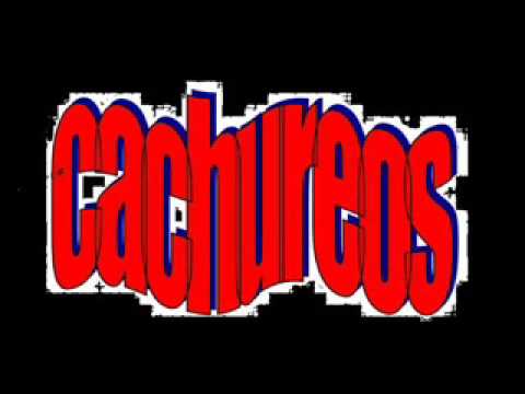 cachureos la mosca