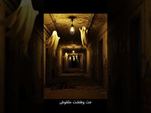 قصة شقة 14 عمارة كرموز قصص ماوراءيات Airline 