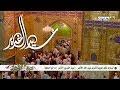 بحاريات ـ تهنئة بمناسبة عيد الغدير الأغر 1440هـ