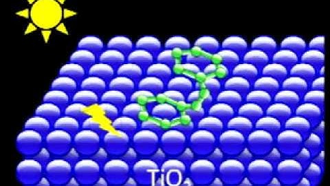 REU10 Max Mankin Video