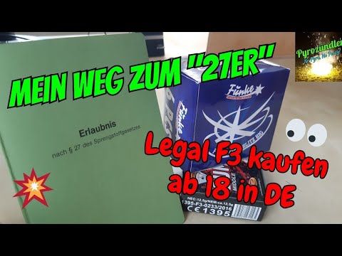 Um Erlaubnis fragen: Wie bringe ich meinem Hund das Kommando bei | Der Welpentrainer | sixx