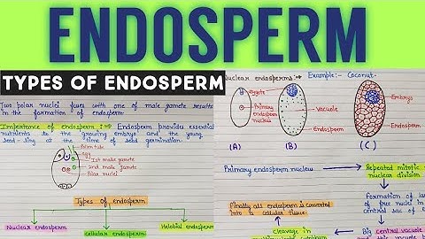 Endosperm | what is endosperm and its type | endosperm development in plant