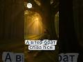 А вітер-брат співа пісні (чоловічій вокал) | (Кавер) | пісня 2025 | Ехо Стін  #ukrainianmusic