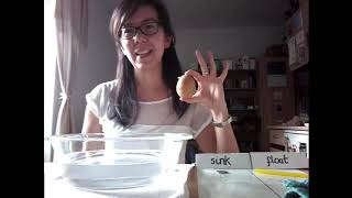 Sink & Float experiment - Jo's Window