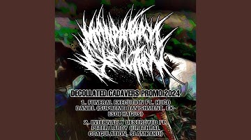 INTERNALLY DESTROYED (feat. PETER LABOY)