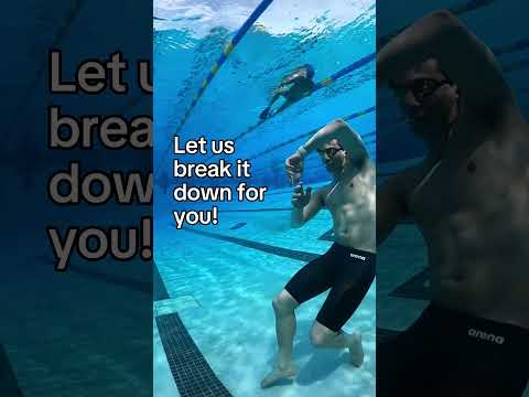 تفاصيل السباحة التي تحتاجها