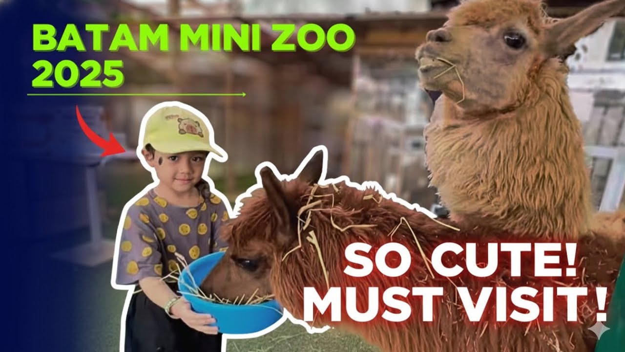 BATAM ZOO PARADISE (2025): Unforgettable Family Fun & Cute Animal Encounters! 🐒